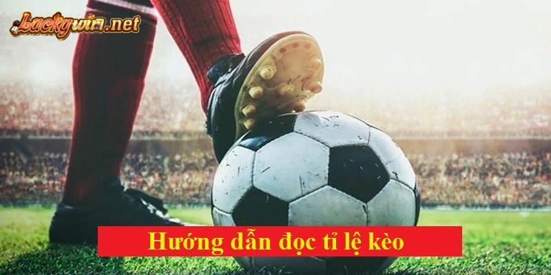 Cách Đọc Kèo Châu u Và Kinh Nghiệm Đặt Cược Hiệu Quả Tại Luckywin Hướng dẫn đọc hiểu tỷ lệ kèo
