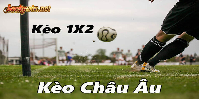 Cách Đọc Kèo Châu u Và Kinh Nghiệm Đặt Cược Hiệu Quả Tại Luckywin Hướng dẫn tân thủ đọc hiểu kèo Châu Âu tại Luckywin