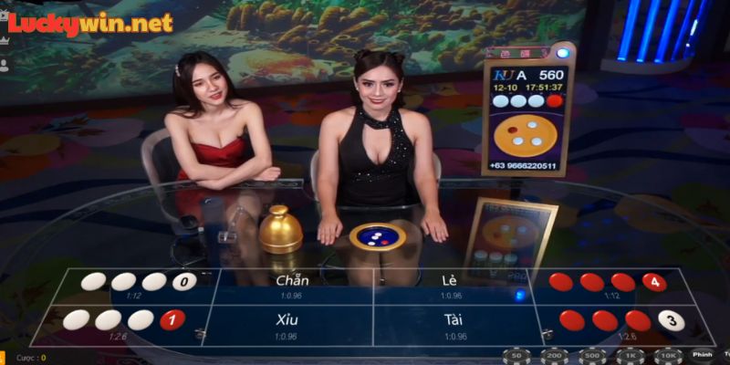 Xóc Đĩa Trực Tuyến Luckywin| Thắng Đậm Ngay Ván Cược Thứ 1 Đơn Giản Nên chơi Xóc Đĩa trực tuyến Luckywin vì có cơ hội thắng đậm