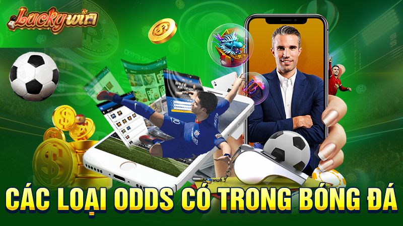 Odds Bóng Đá Là Gì? Chi Tiết Cách Soi Odds Cực Chuẩn Các loại odds có trong bóng đá