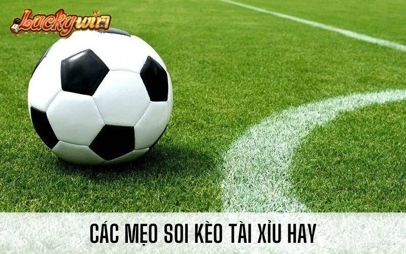 Kèo Tài Xỉu Là Gì? Cách Đọc Và Soi Kèo Cược Tài Xỉu Chuẩn Các mẹo soi kèo Tài Xỉu hay