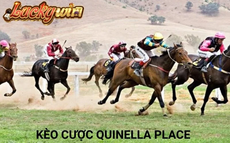 Tổng Hợp Kèo Cá Cược Đua Ngựa Hấp Dẫn Tại Cổng Game Luckywin Kèo cược đua ngựa Quinella Place