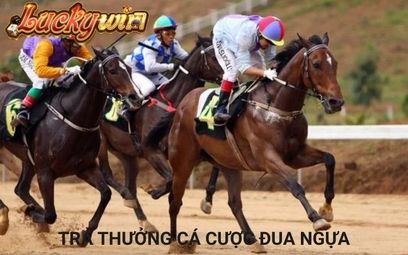 Tổng Hợp Kèo Cá Cược Đua Ngựa Hấp Dẫn Tại Cổng Game Luckywin Nguyên tắc trả thưởng tại cổng game