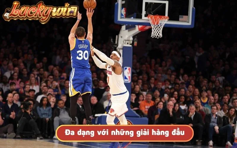 Cá Cược Bóng Rổ - Cơ Hội Thử Vận May Với Tỷ Lệ Cực Hấp Dẫn Đa dạng với những giải hàng đầu