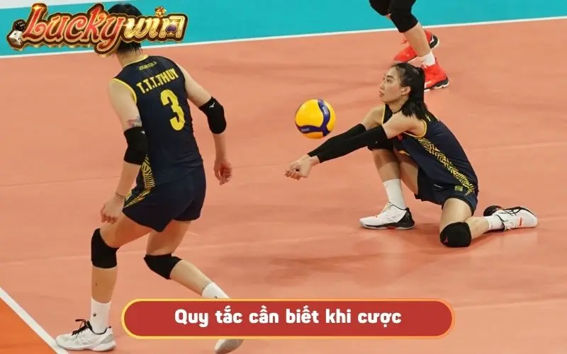 Cá Cược Bóng Chuyền – Bộ Môn Kịch Tính Với Lợi Nhuận Lớn Quy tắc cần biết khi cược bóng chuyền