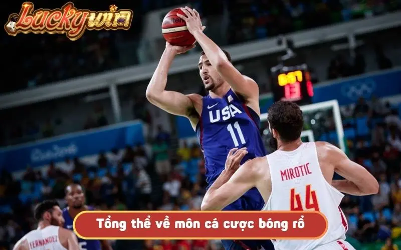 Cá Cược Bóng Rổ - Cơ Hội Thử Vận May Với Tỷ Lệ Cực Hấp Dẫn Tổng thể về môn cá cược bóng rổ